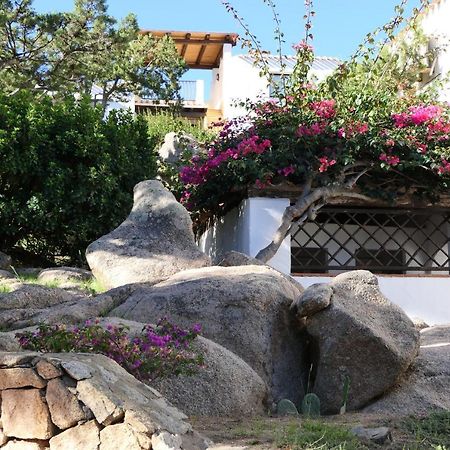 Residence Con Piscina A Liscia Di Vacca, 350 Mt Dal Mare, 3 Km Da Porto Cervo Luaran gambar